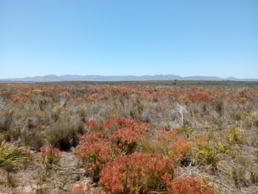 Commercial Property for Sale in Humansdorp Rural Eastern Cape